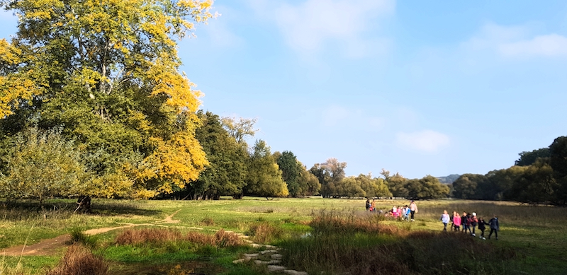 wiesengrund 3 4a 18 19