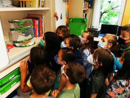 schmetterlinge klassenzimmer