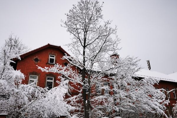 grimm ansicht schnee